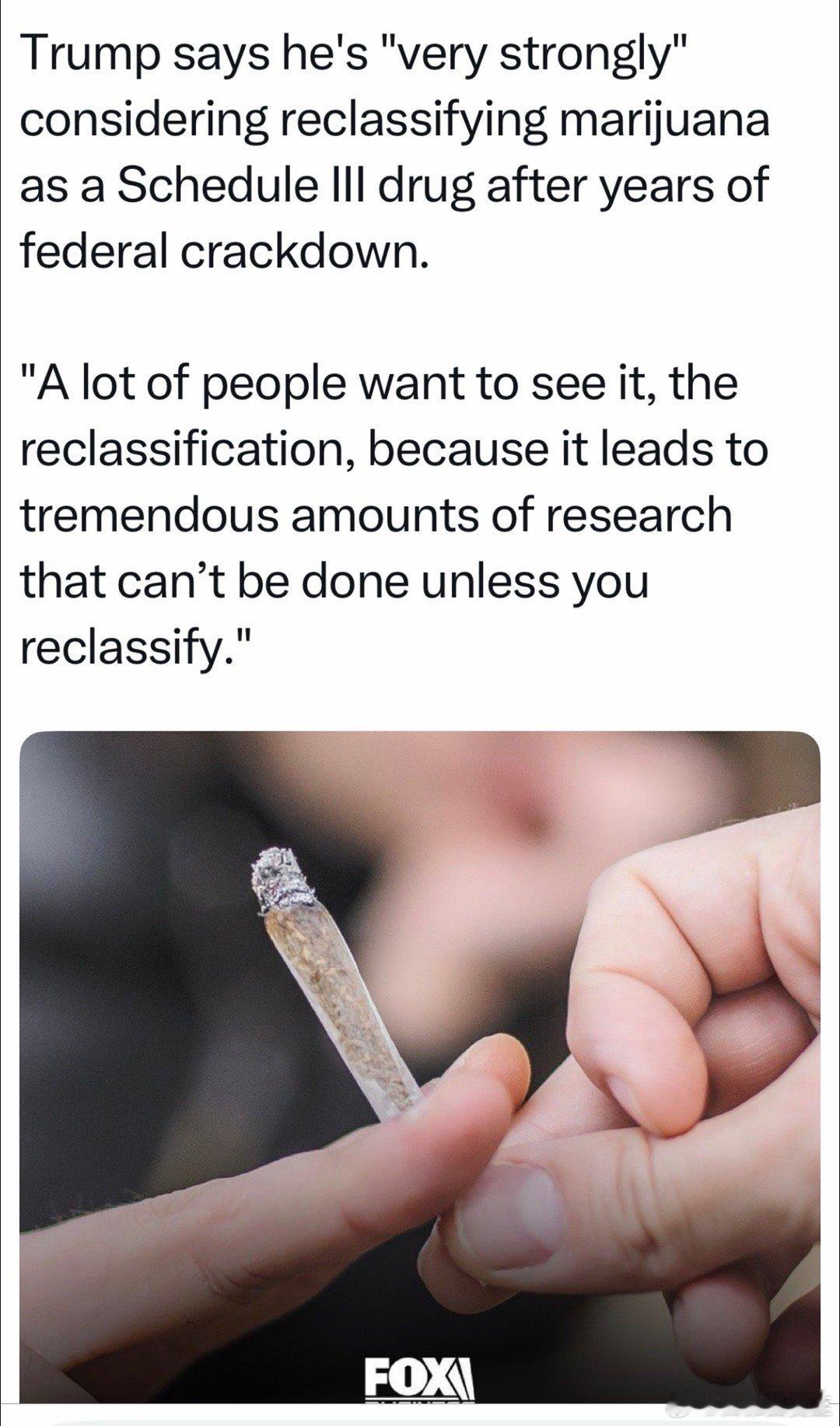 总统正“强烈考虑”：将大麻降级为低等级毒品，因为“很多人希望这样”、可以促进“大