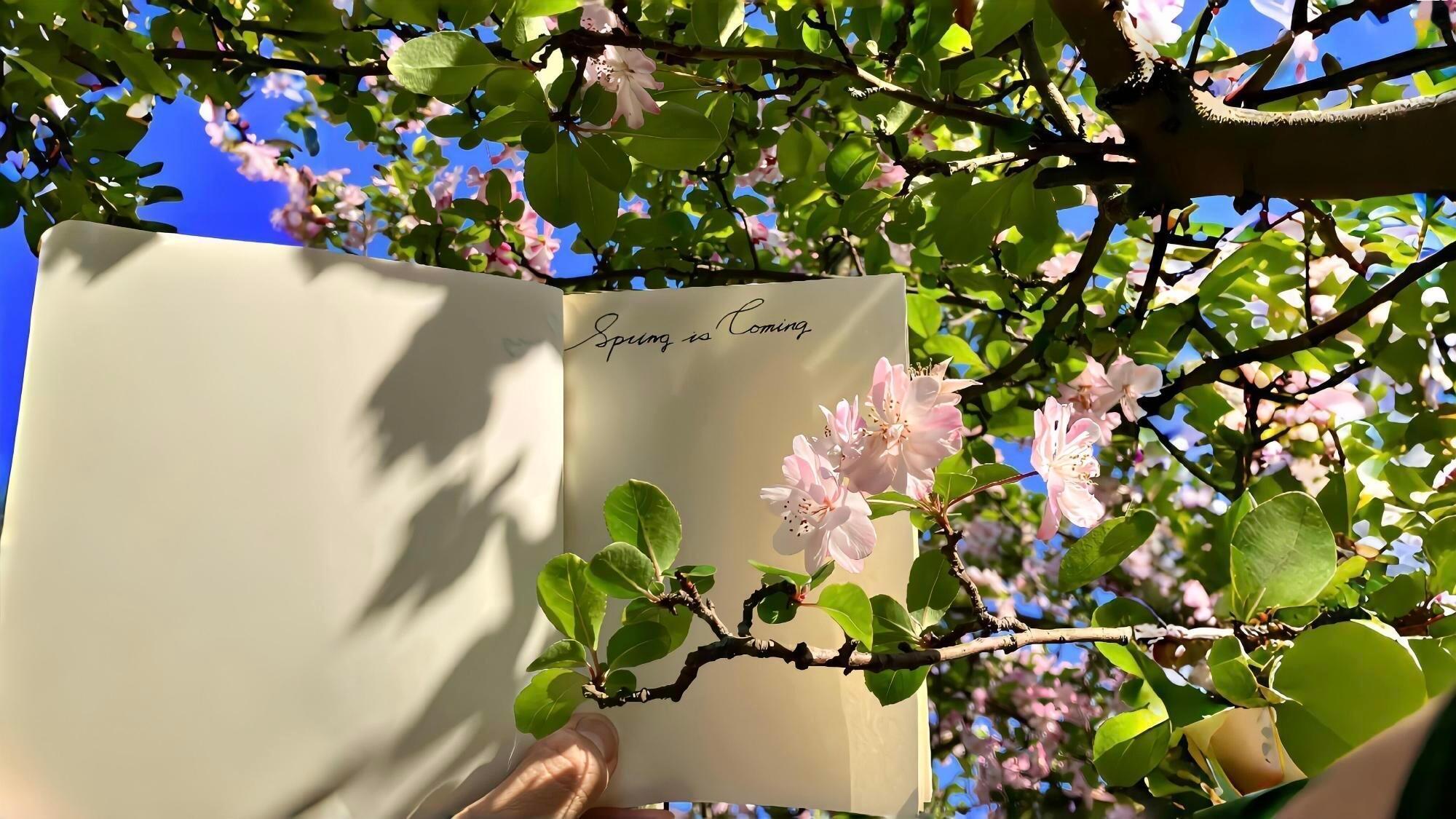 治愈系电脑壁纸｜你也会想起我的吧🌌 ₊꙳⸝🌸  ͈🏡 ᐡ 