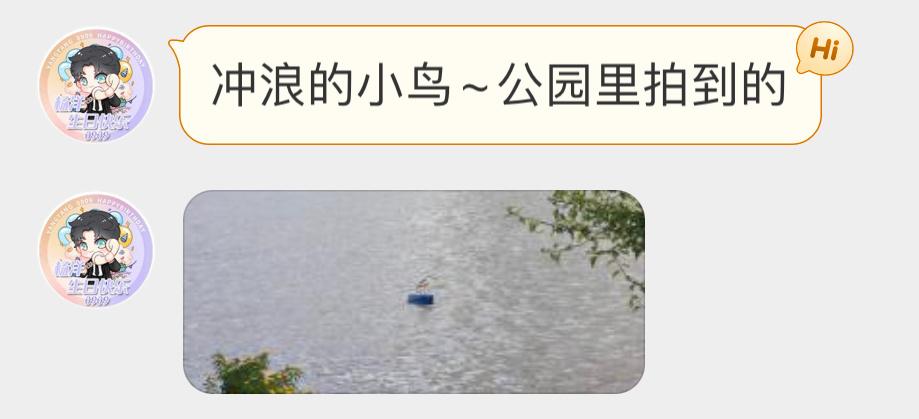 #鸟粉投稿# 在湖面冲浪的【夜鹭】它是会找位置的 ​​​