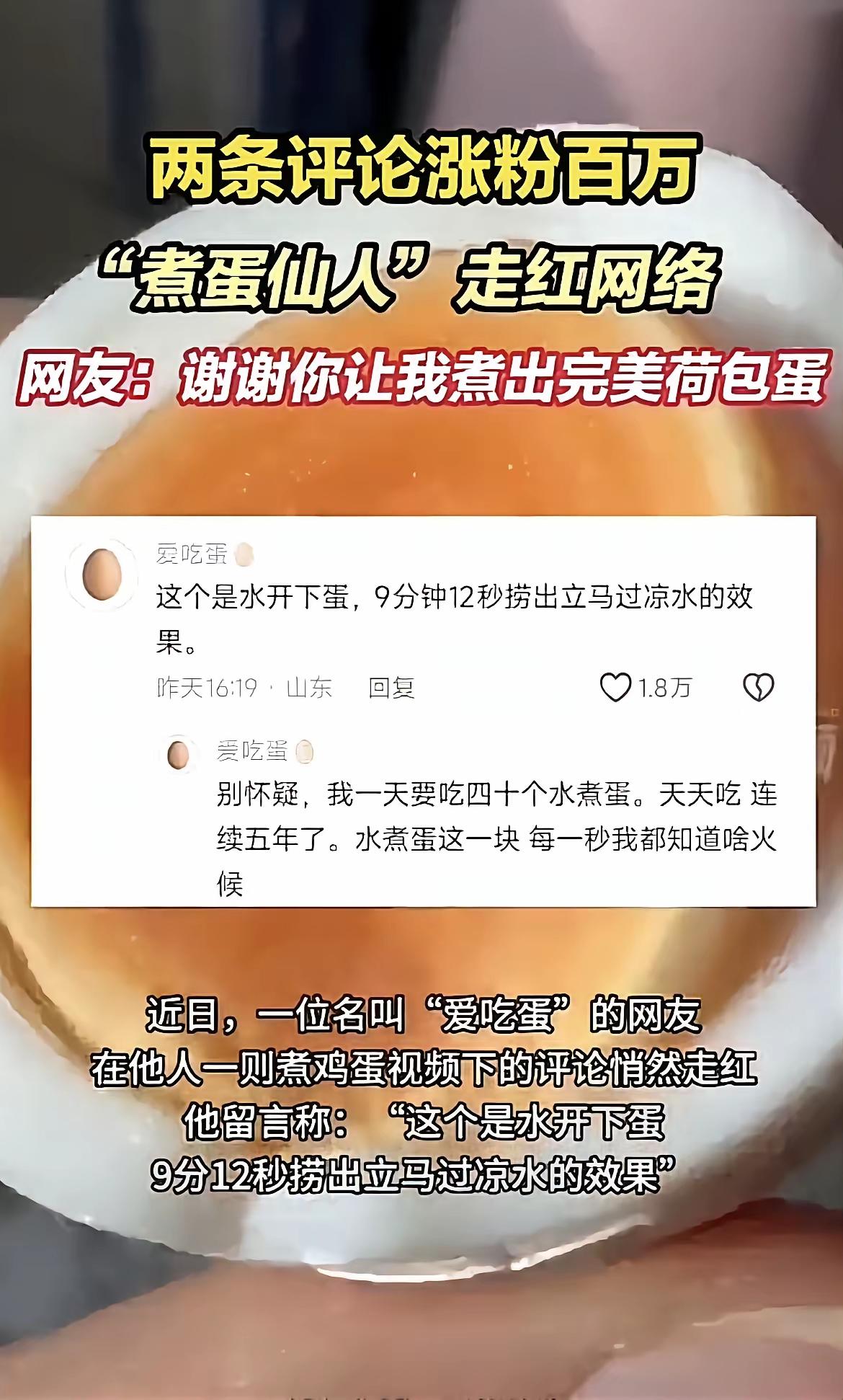 这也太奇葩了吧！这么荒谬绝伦！煮蛋仙人，评两条评论涨粉百万。既不用荒野求生50天