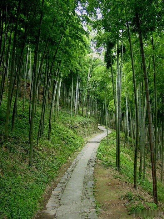 Be the best version of you. 做最好版本的你。 生活手