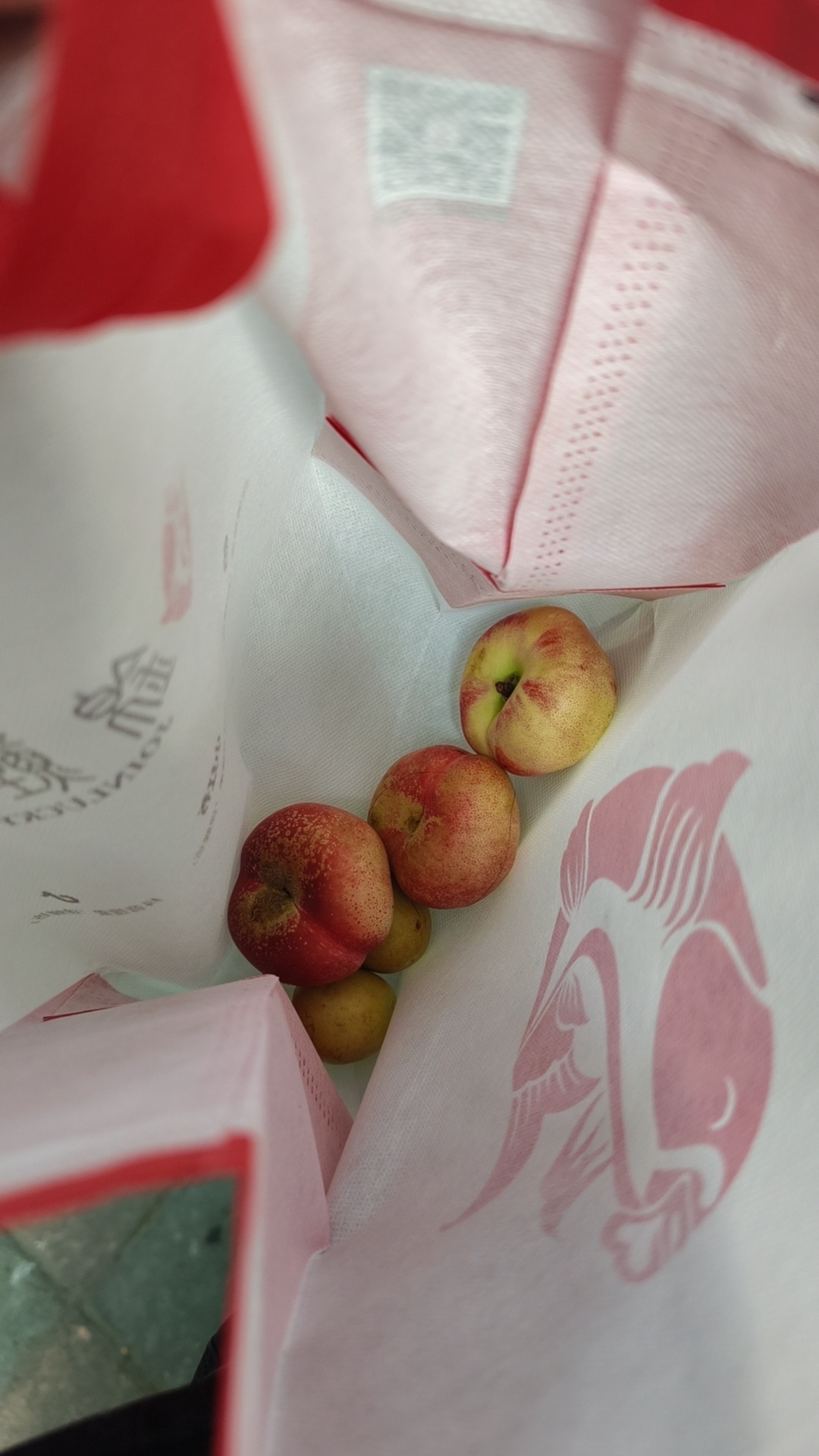 ！！！给媳妇带回来的下午茶，几个桃子和几颗枣，她比我爱吃水果多了。我的日常plo