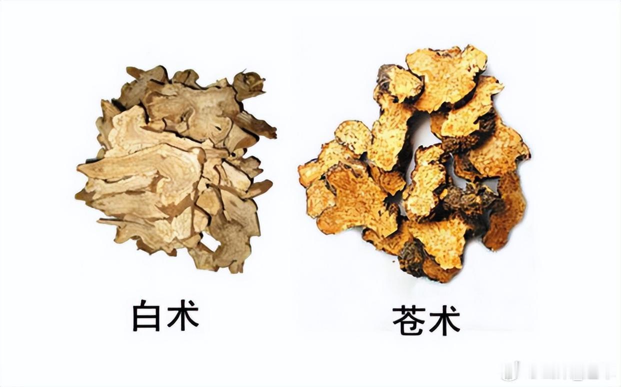 苍术走表，从胃走胆；白术走里，从脾走肝？这些原理如何运用？对中医比较感兴趣的朋友