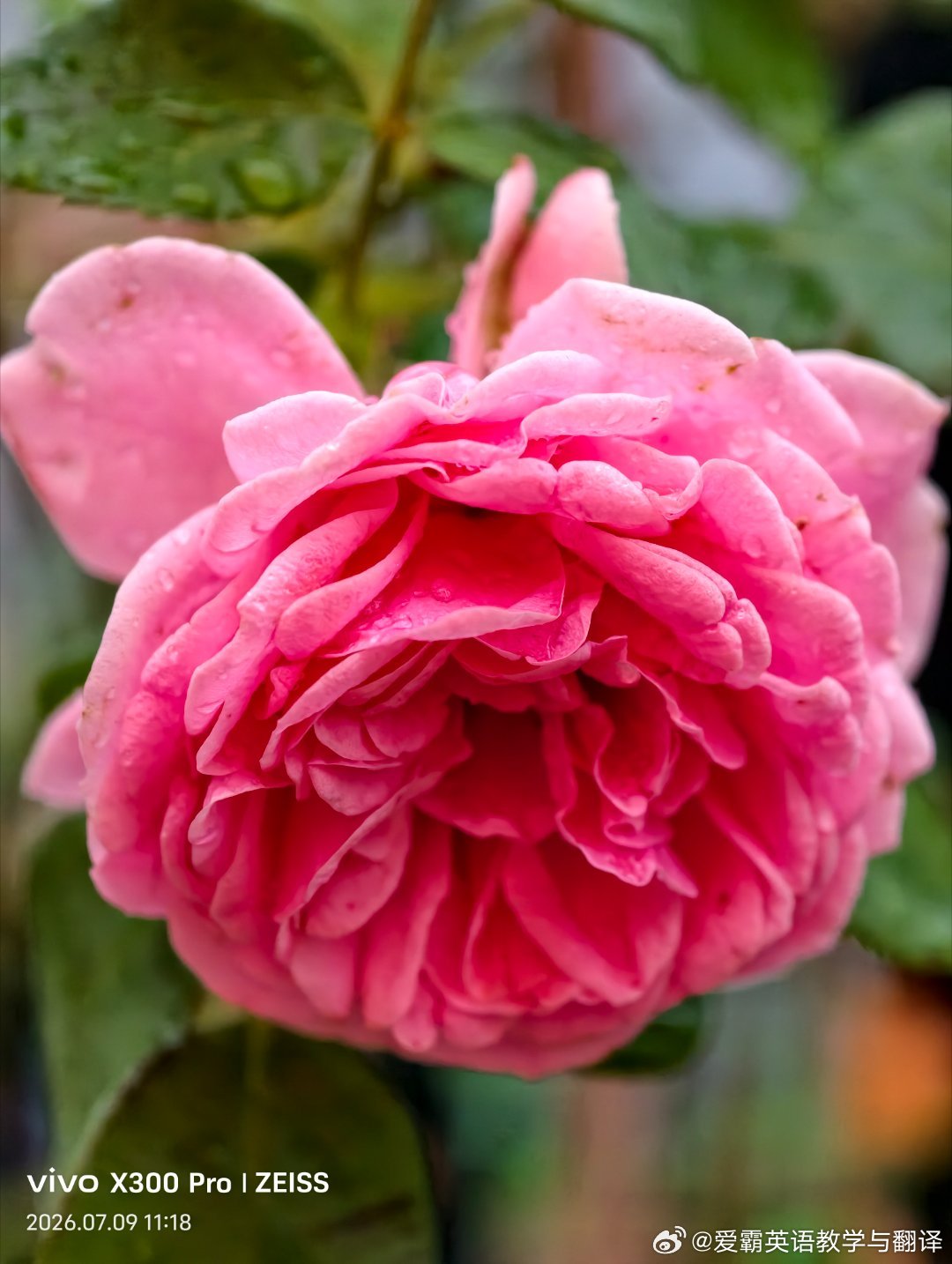 不要高估人性，更不要考验人性。幸福的时候小点声，三分喜悦藏于心，七分城府护己身。
