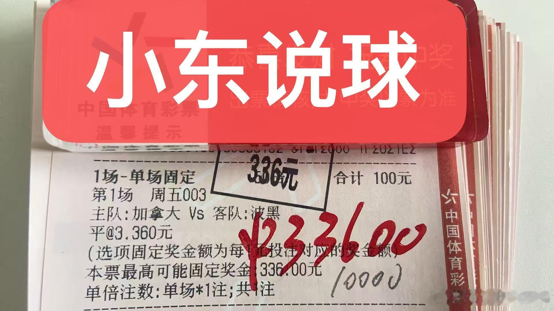 世界杯单关第二场🎆🎆🎆波黑1-1加拿大世界杯加拿大vs波黑竞彩足球