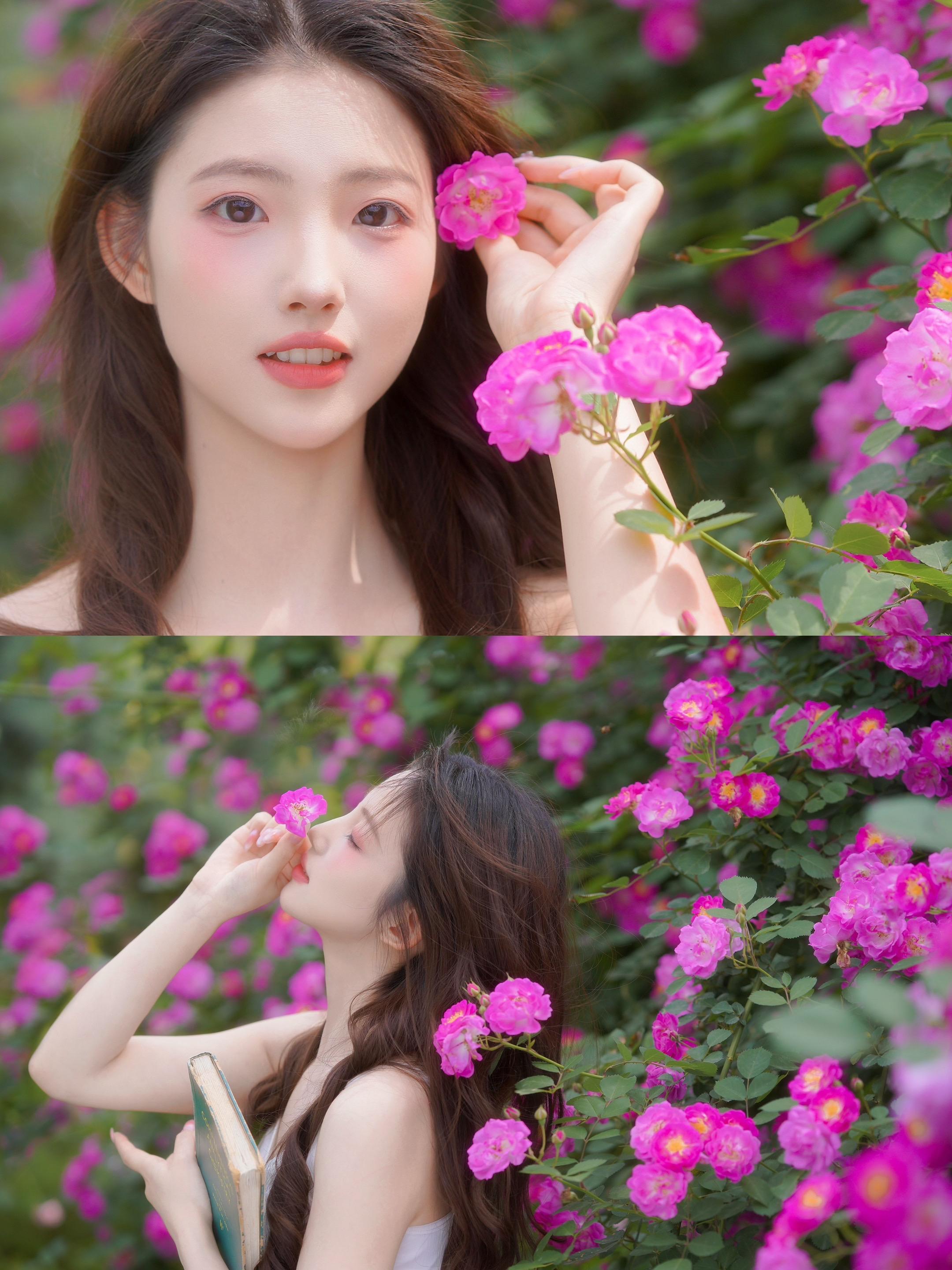 存一些 i 人小幅度春日蔷薇花拍照姿势。