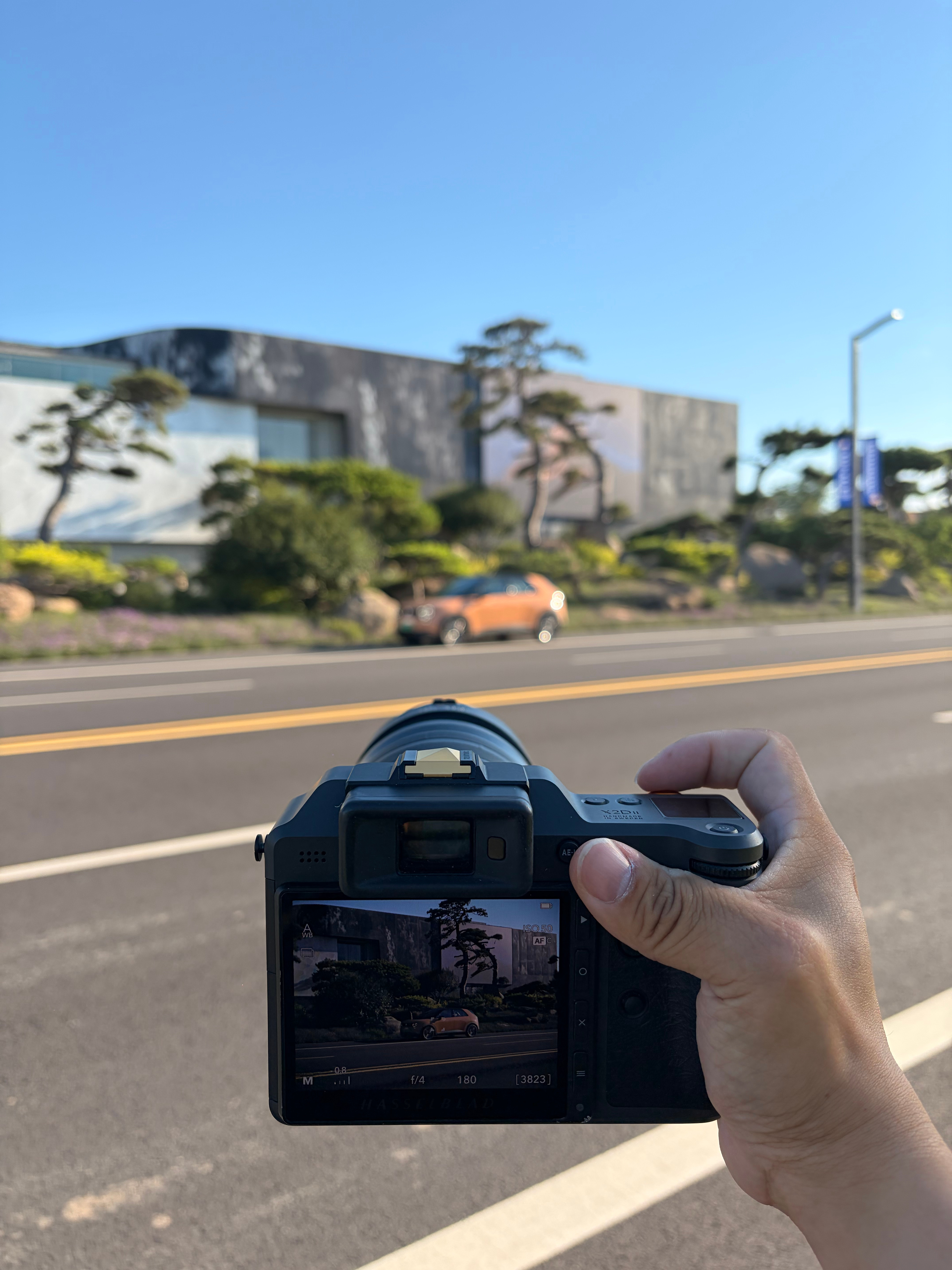 今日天气OK，狂拍好几组firefly萤火虫 北京·北京罗红摄影艺术馆