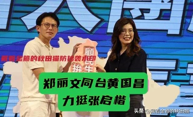 郑丽文开挂！一天连环双打稳蓝扩白：上午与卢秀燕同框，下午与黄国昌合体，蓝白合这回