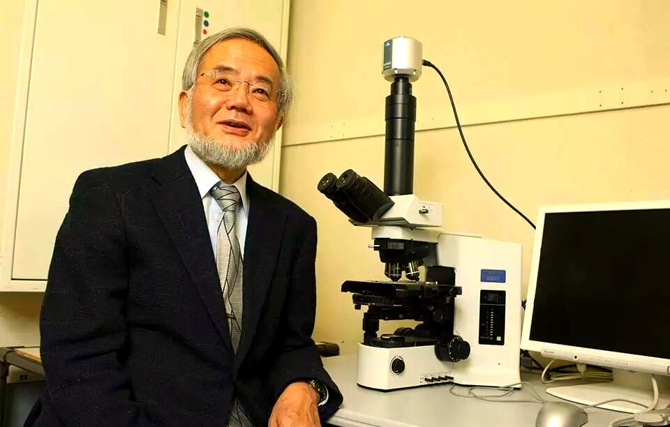 日本生物学家大隅良典凭着研究饿肚子时身体竟然会主动“吃掉”内部受损、衰老细胞来完