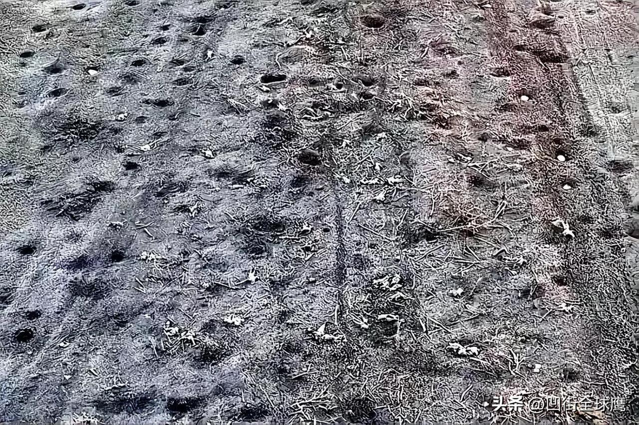 乌克兰战场