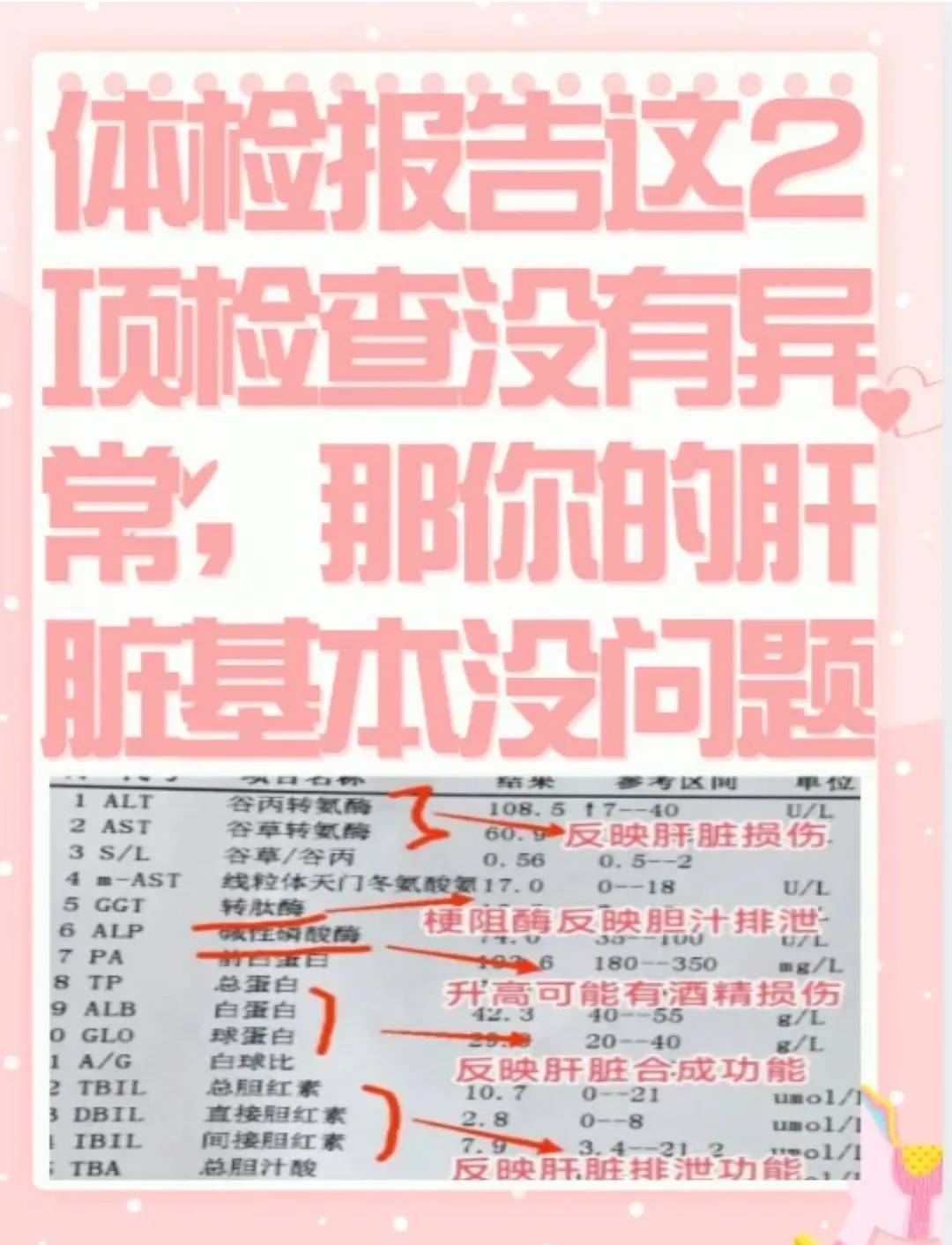 体检报告2项检查没有异常，肝脏基本没问题