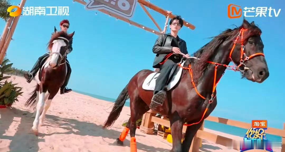 檀健次丁程鑫本命马马年看《你好星期六》，檀健次和丁程鑫自我介绍太妙!骑马登场，何