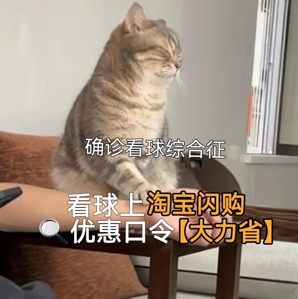上海citywalk必逛新地标看球上淘宝闪购点外卖更优惠淘宝闪购大力省杯淘宝闪购