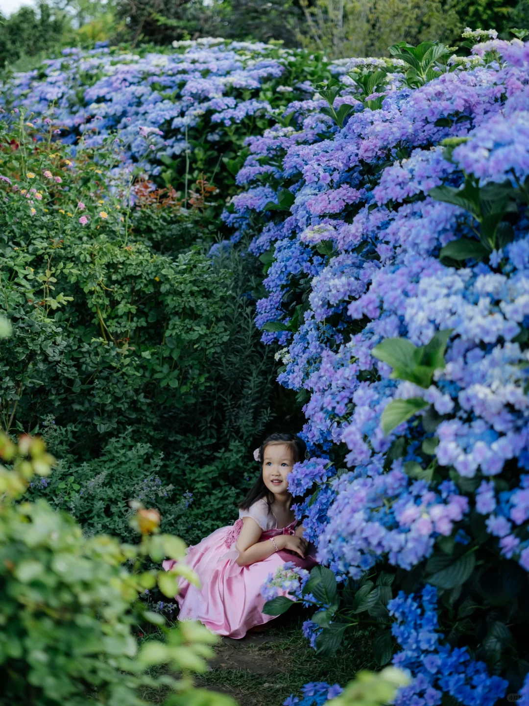 真孩子｜大理繁花一夏