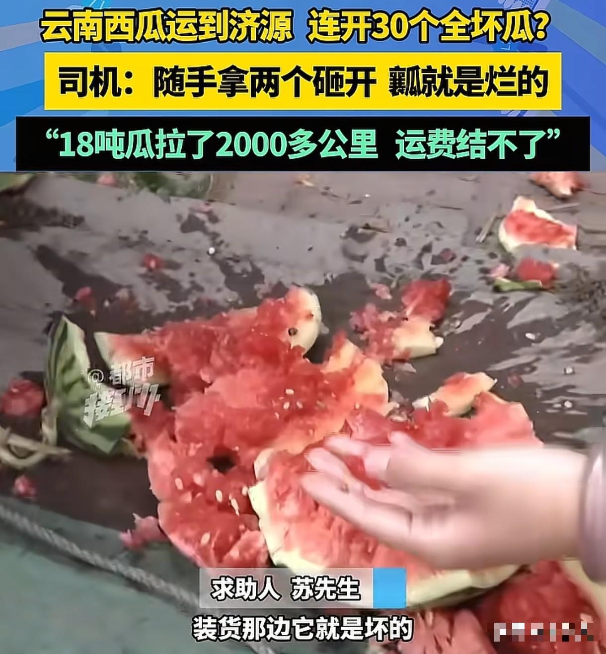 男子从云南运了18吨西瓜到济源，可收货方一检查，连开了30个瓜，外面都是好好的，
