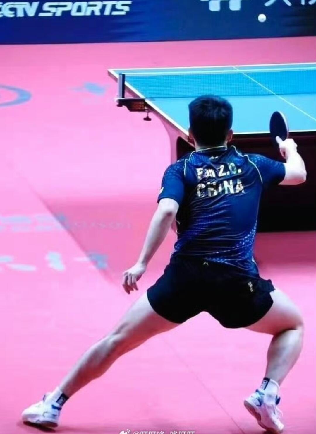 樊振东背影照 把信仰设为锁屏，每一次点亮都充满力量 