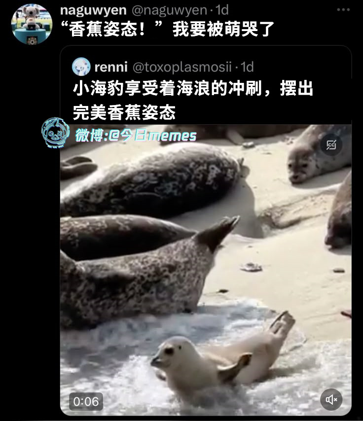 要成熟（9gag）哎呀