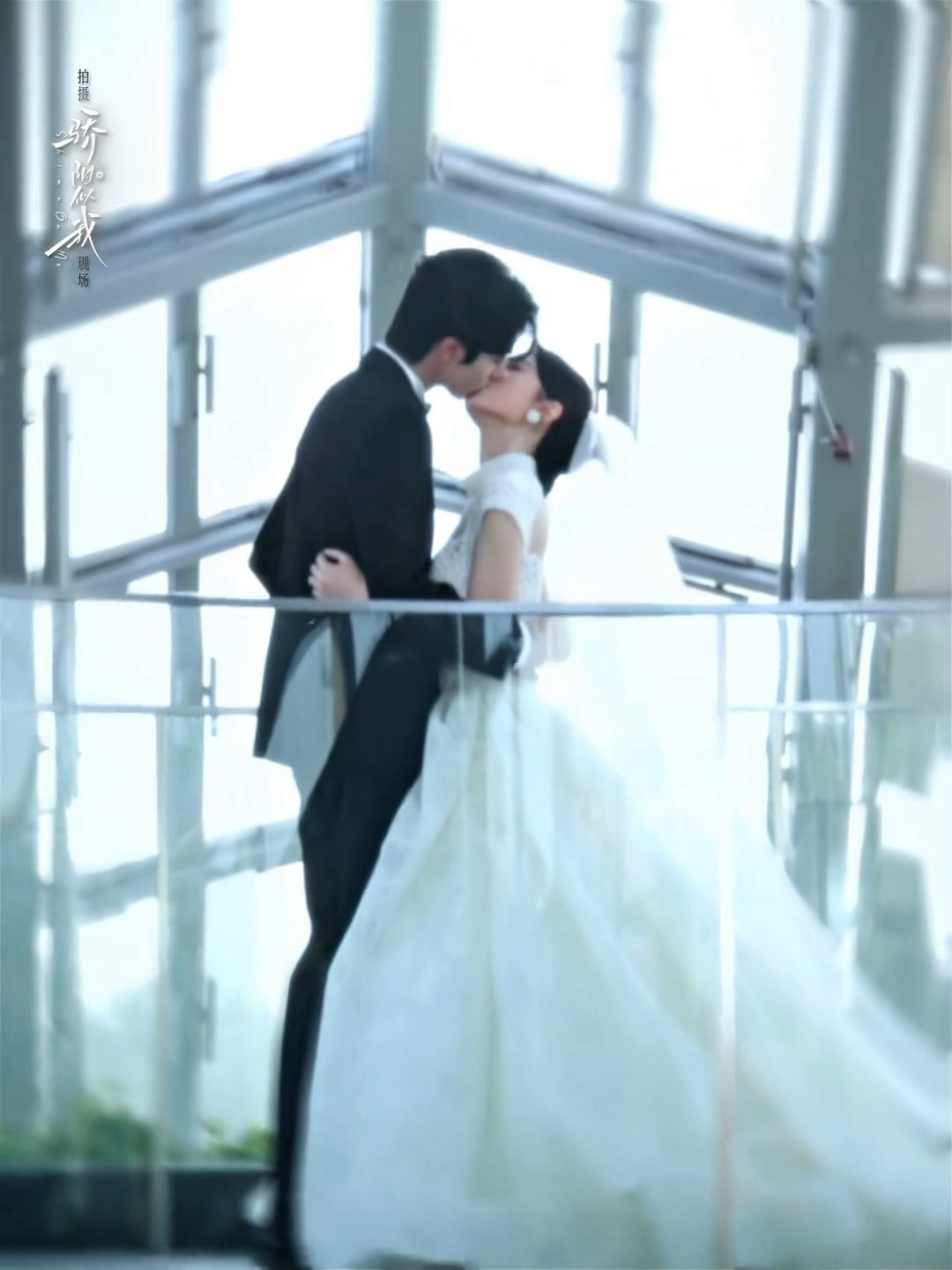 新年第一天早上看这个我有点幸福过头了吧骄阳似我