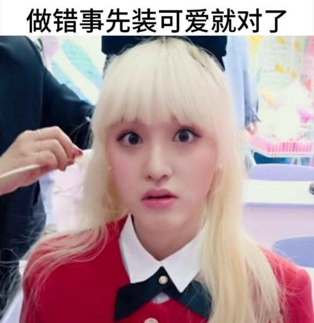 分享对人生毫无意义但很萌的猫猫meme一则