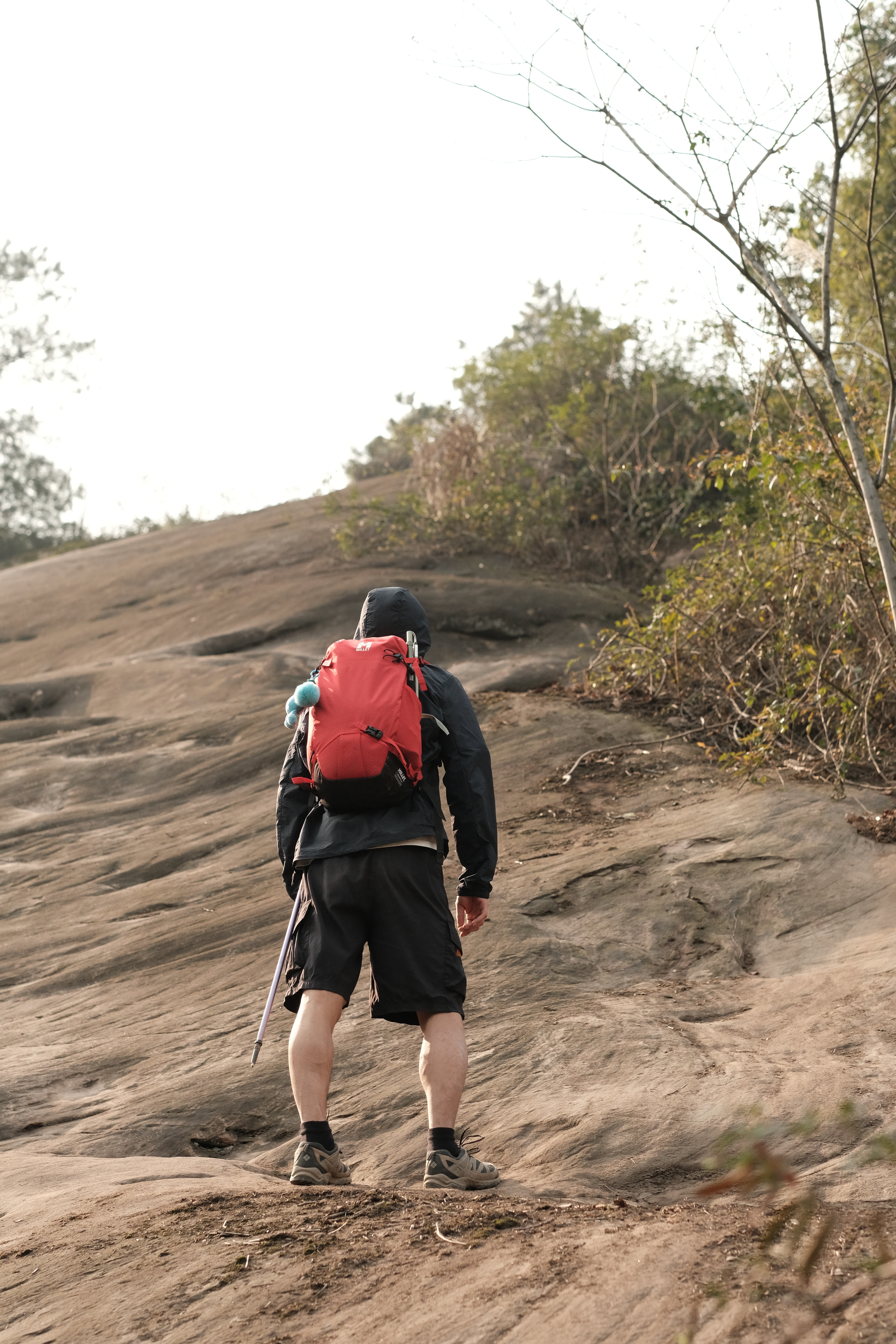 为什么现在的打工人都热衷于户外爬山徒步？⛰️  