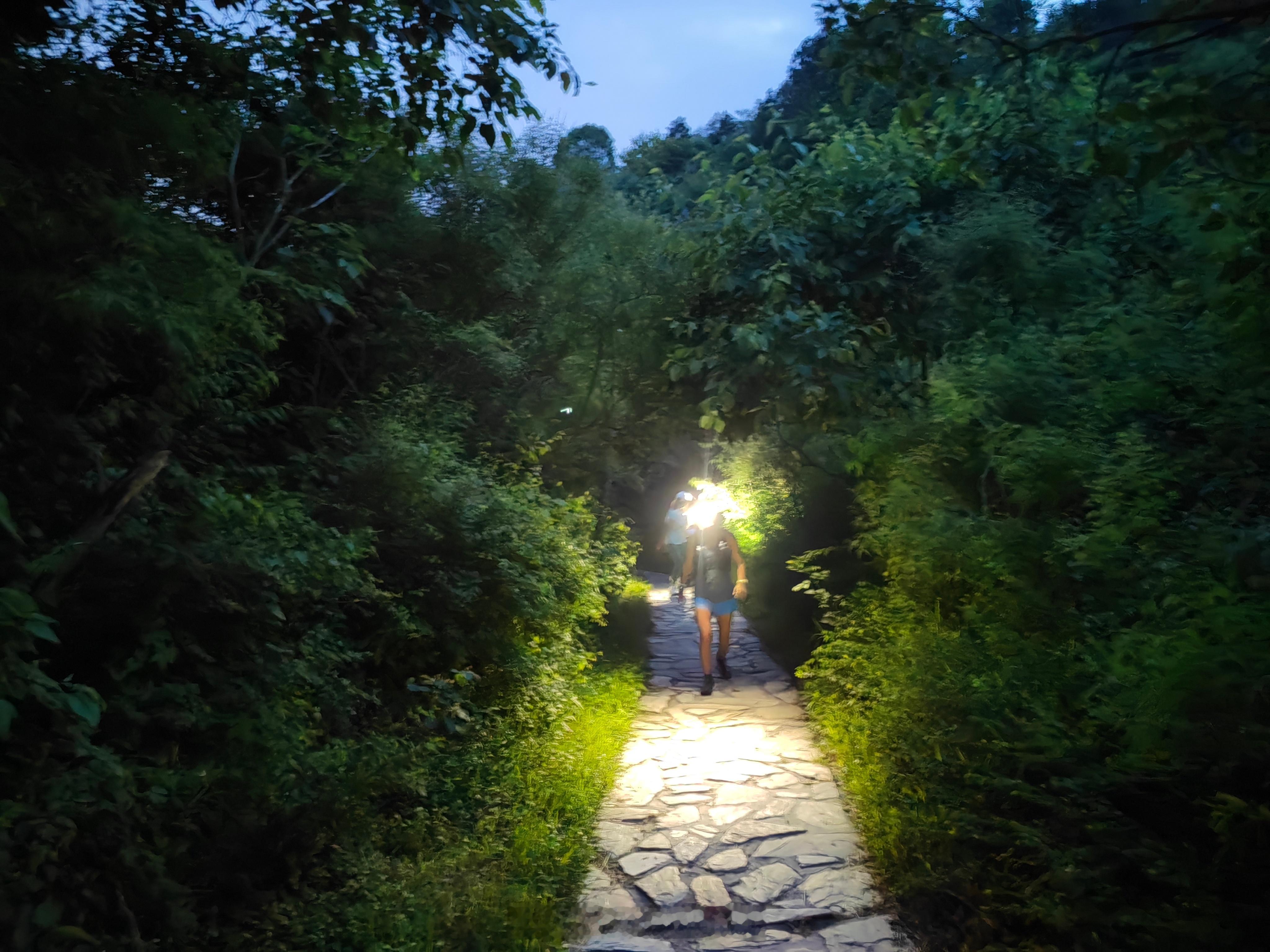 夜跑西山，凉快不晒昨天设计的西山15公里的路线受到大家一致好评，增加了一些土路，