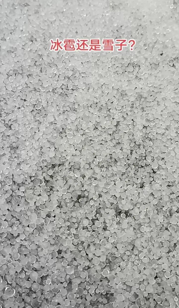 瑞雪兆丰年，可是她又不是雪，我儿子大声说，天上下盐粒啦！可不是咋的，妥妥当当盐粒
