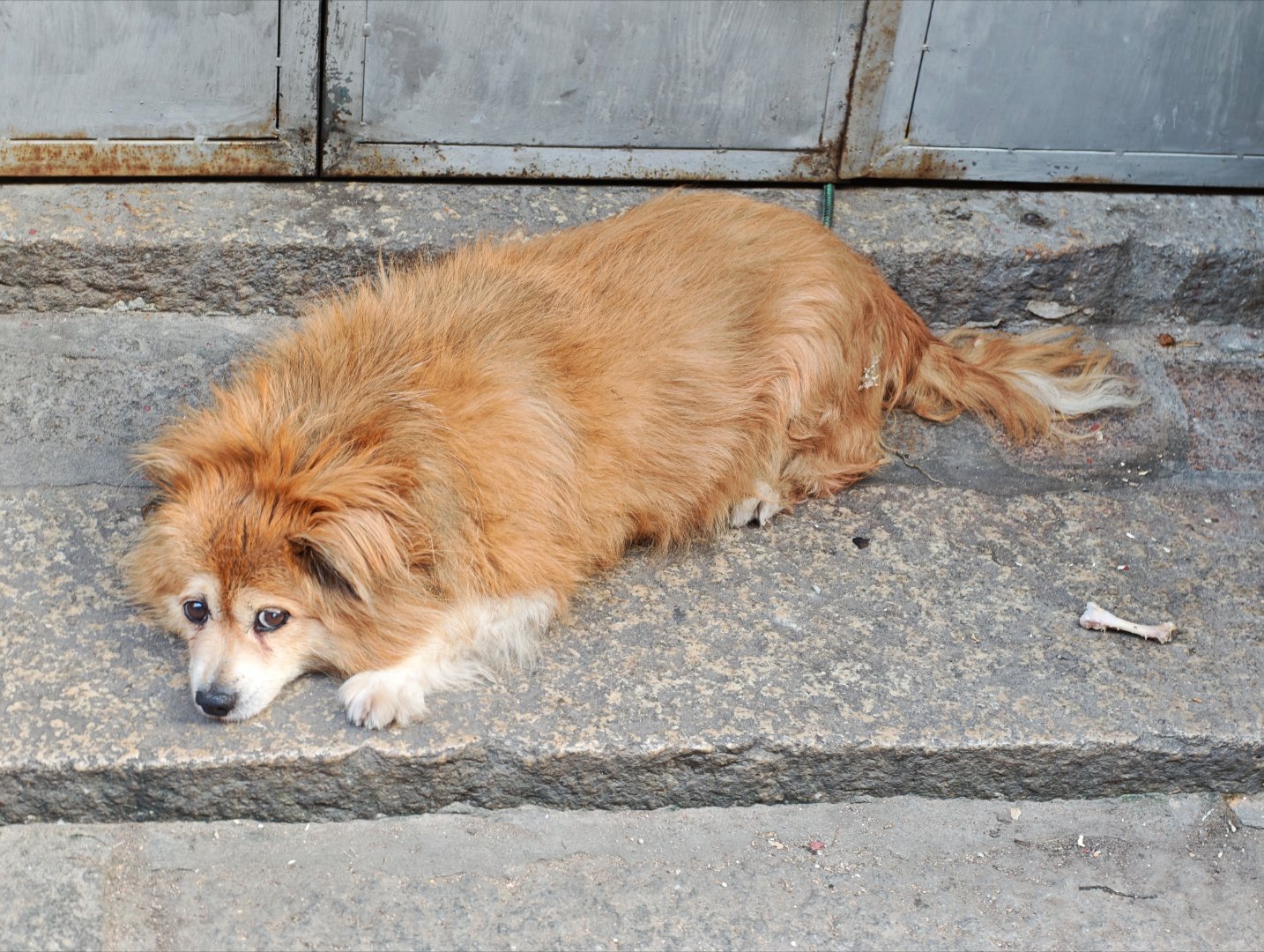 啥情况，是谁家的ultra没了