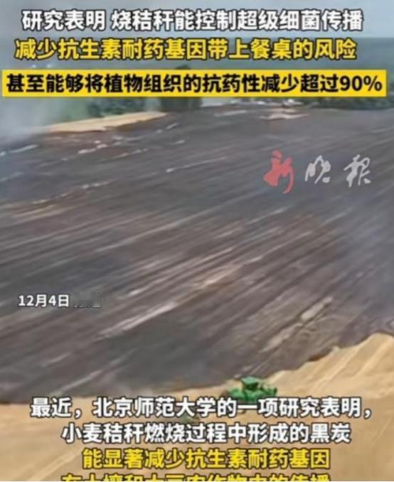 谁能想到？过去因“制造雾霾”被各地严令禁止、农民烧了就要挨罚的秸秆焚烧，如今竟爆