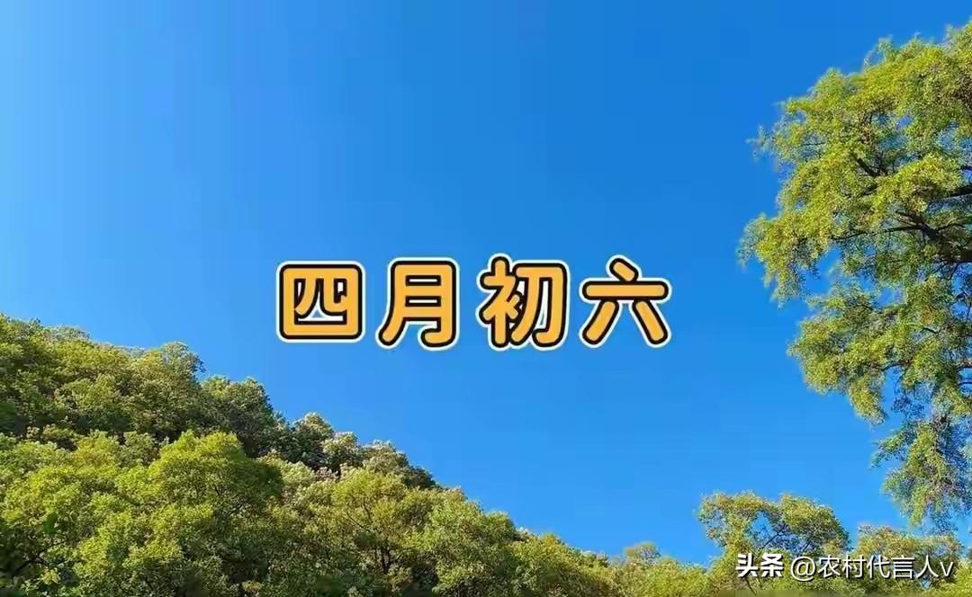 老话说“四月怕初六”，今日四月初六，究竟怕啥？看看老人咋说
 
今天是农历四月初