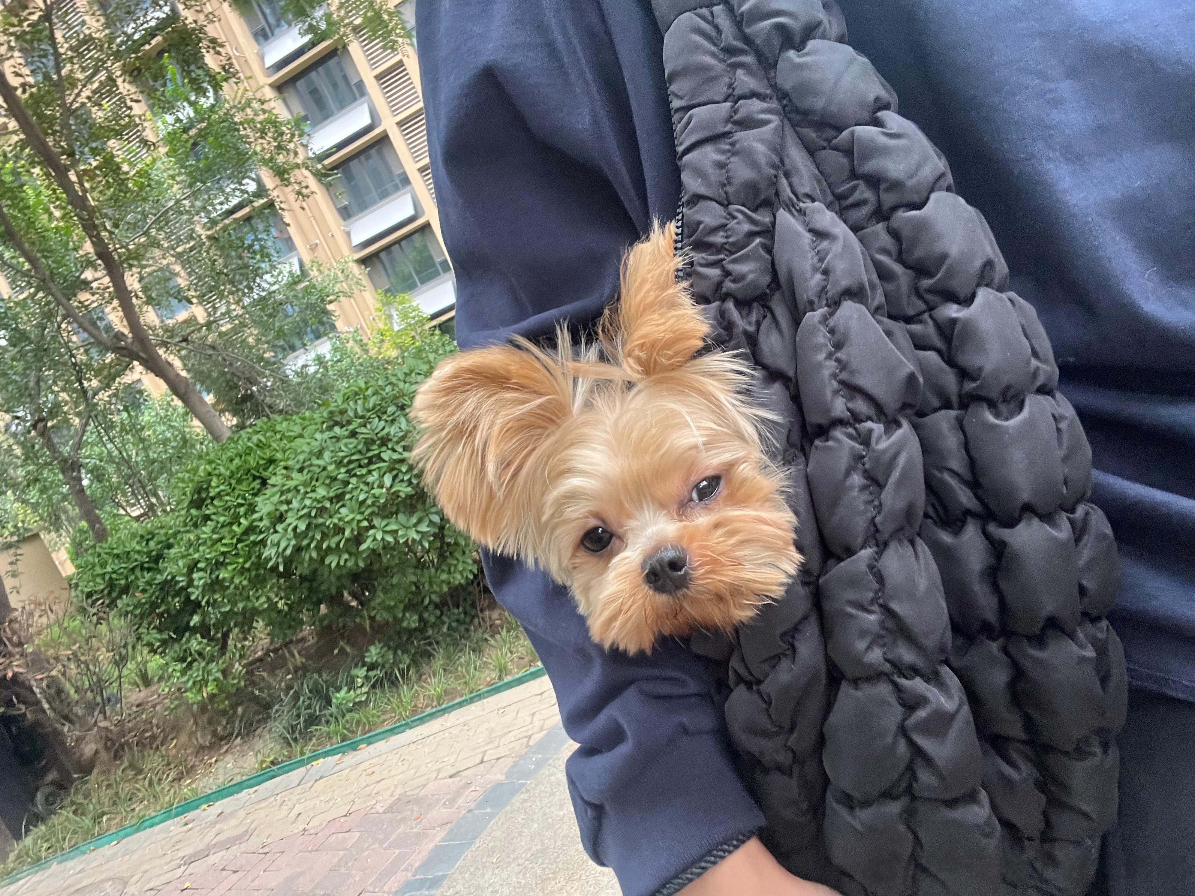 喜提情头 ​​​