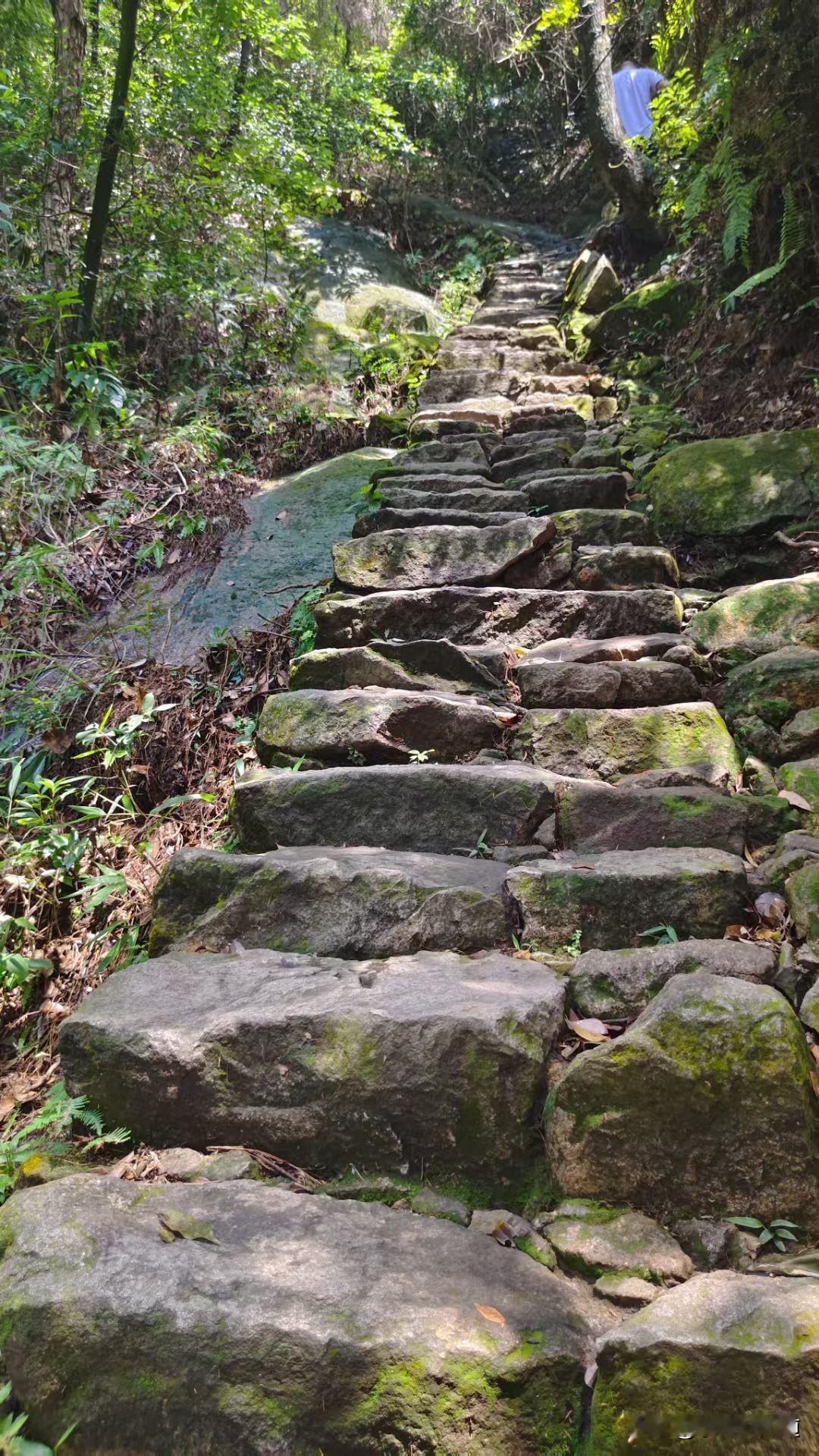 冬日生活打卡季