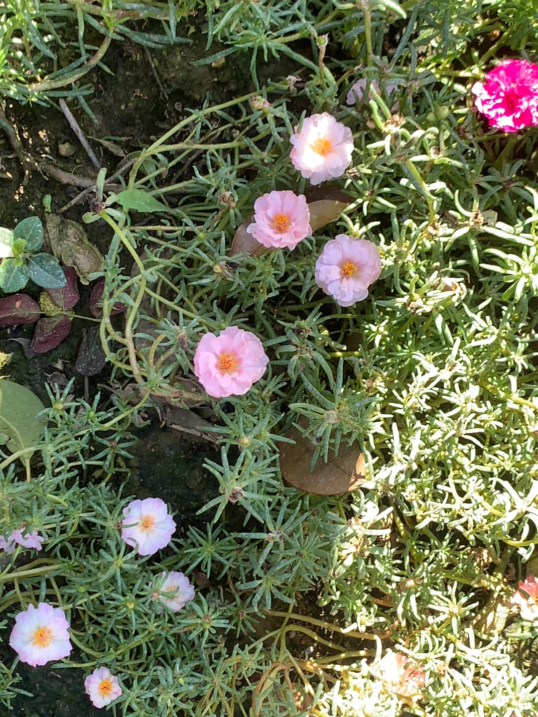 被坑了一百多W后我终于想通了。