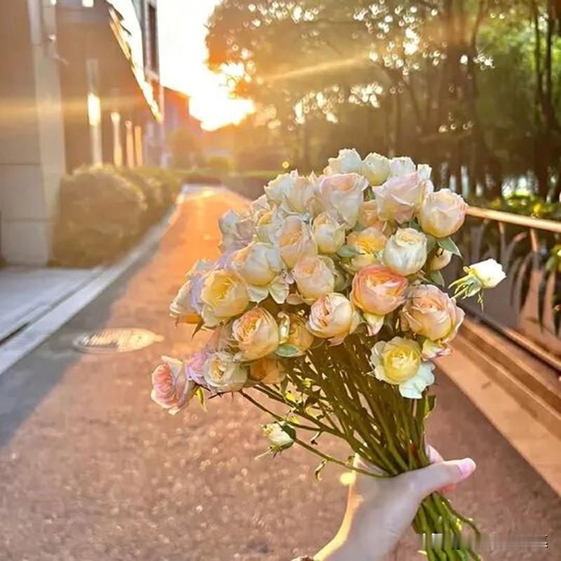 12星座最容易被哪种人治愈？

白羊座：在我冲动时轻轻拉住我手腕的人
金牛座：一