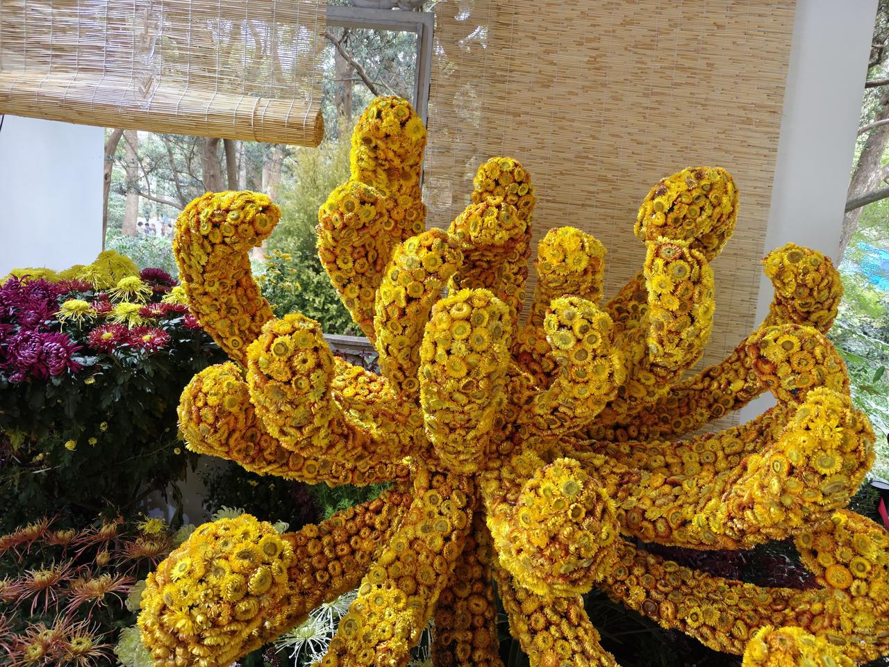 杭州一年四季都有鲜花盛开，深秋有桂花和菊花同时绽放，就算冬天也从来都不会寂寞，有