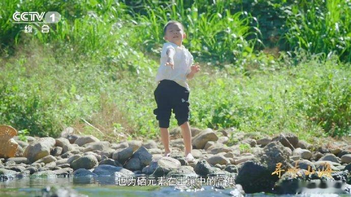 福建有种鸭越老越贵 3招教你判断鸭子年龄 福建连城白鸭超特别，年龄越大越受宠！专