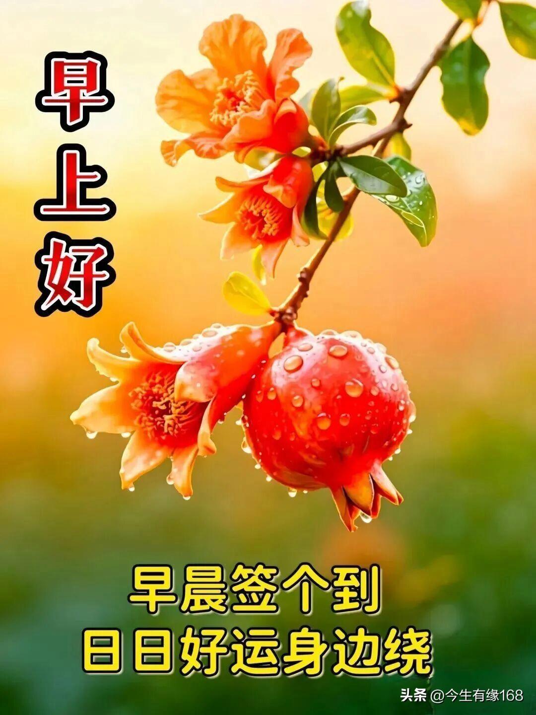 晨起推开窗，风里带着淡淡的清香。日子不必追赶热闹，守好当下的平淡，就是一种幸福。