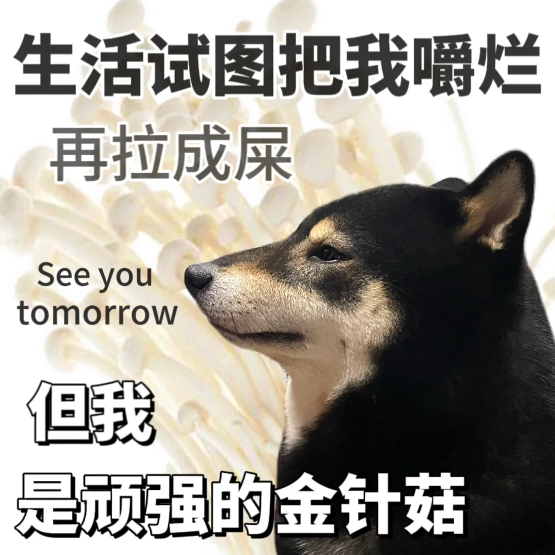 表情包|生活奈我何🤭