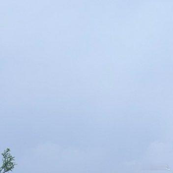 0000 星光坠入深海，浪花奔涌向天际间，珊瑚静卧海底，白鸥翱翔海平面，海洋孕育
