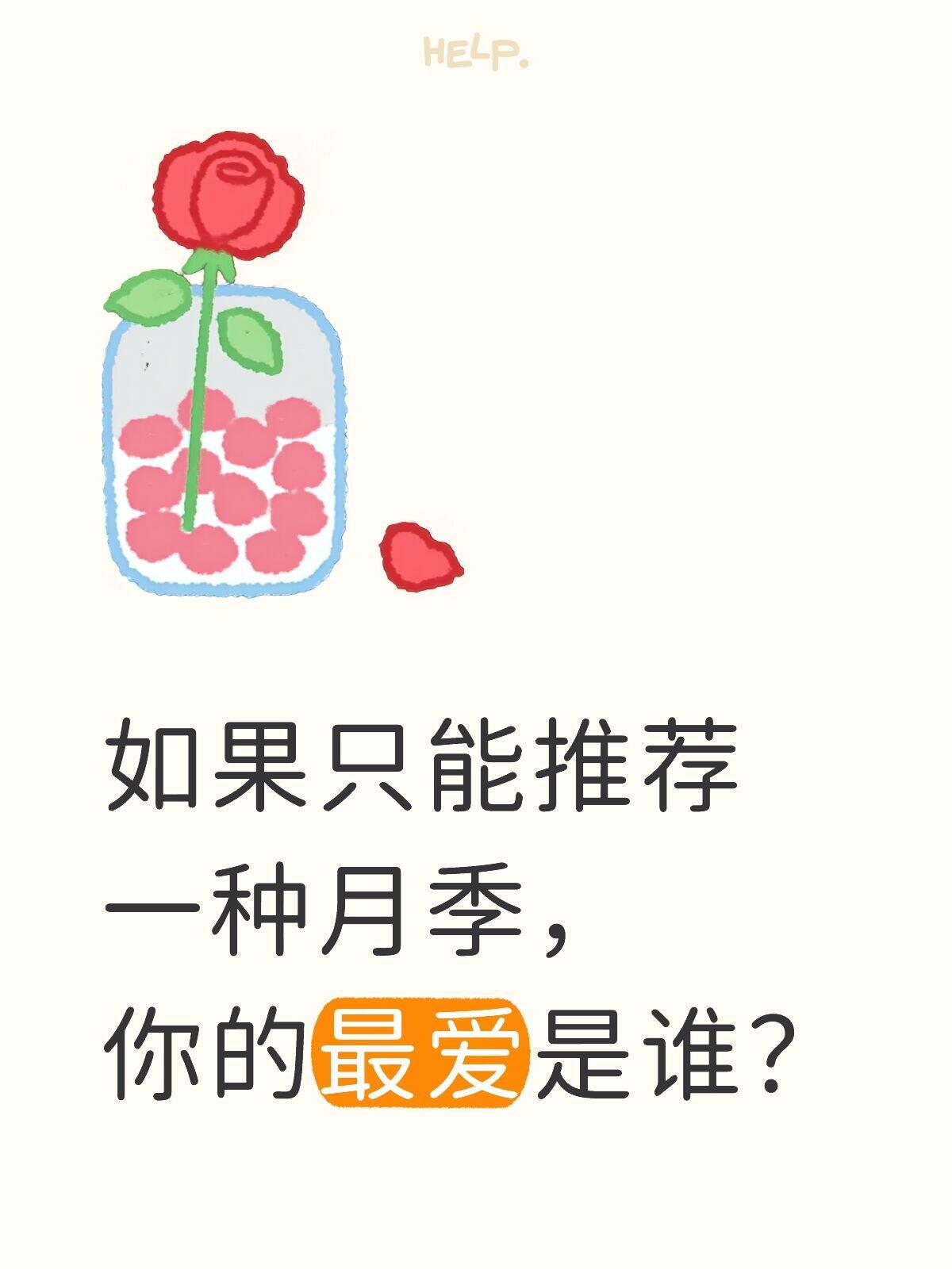 如果只能推荐一种月季，你的最爱是谁？月季品种 养花达人 月季养护