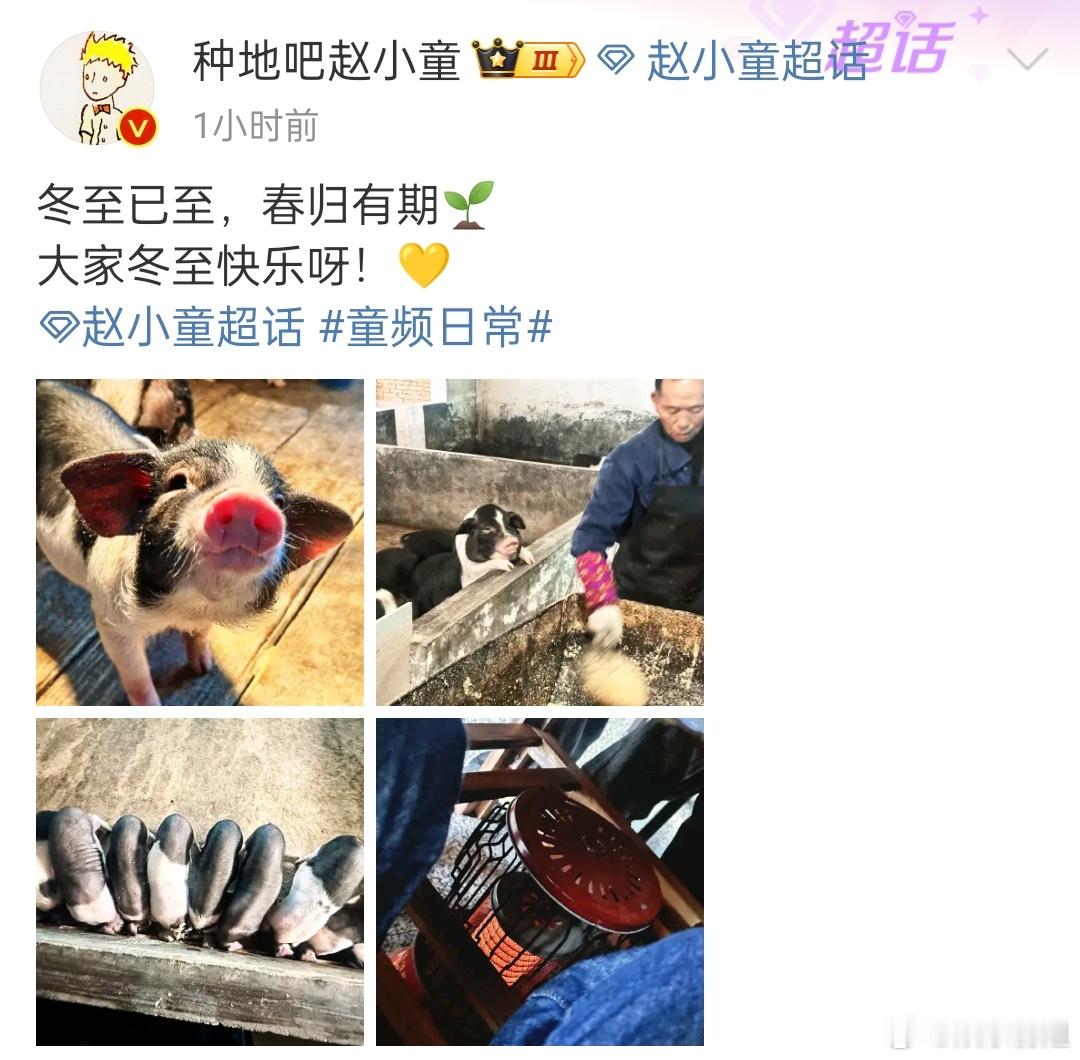 赵小童祝大家冬至快乐 冬至已至，春归有期🌱 大家冬至快乐呀！💛 在学习的小童