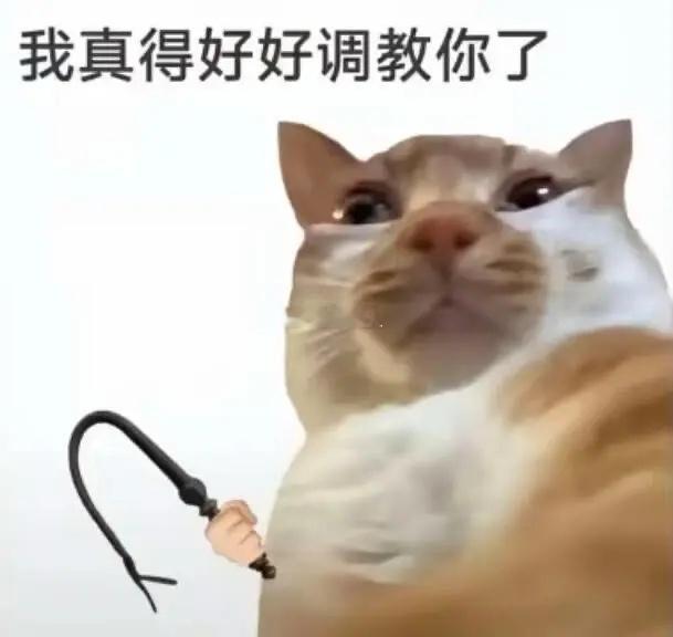 藏海传女主一出场就狠狠抽男主像这个： ​​​