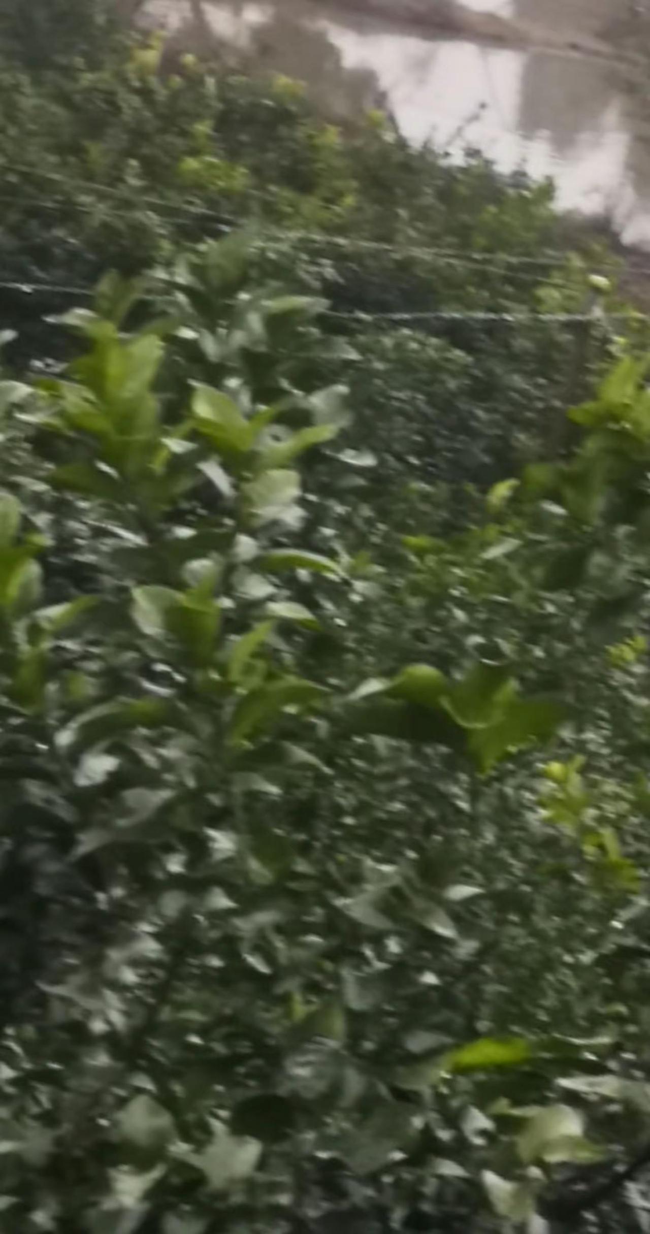 山美水美家乡美 记录家乡美景 美丽的家乡田园风光 美丽的家乡山清水秀 原生态乡村