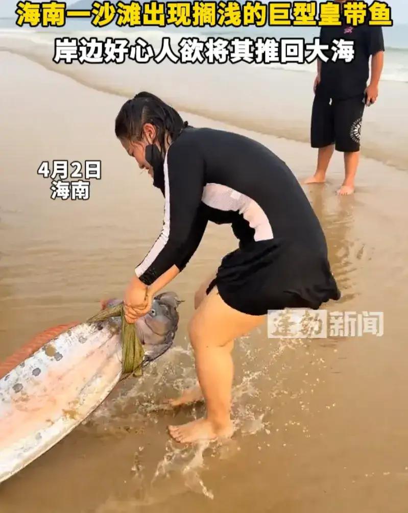 吓懵了！海南icon某沙滩上，一女子正在散步，忽然看见远处横卧着一条银光闪闪的庞