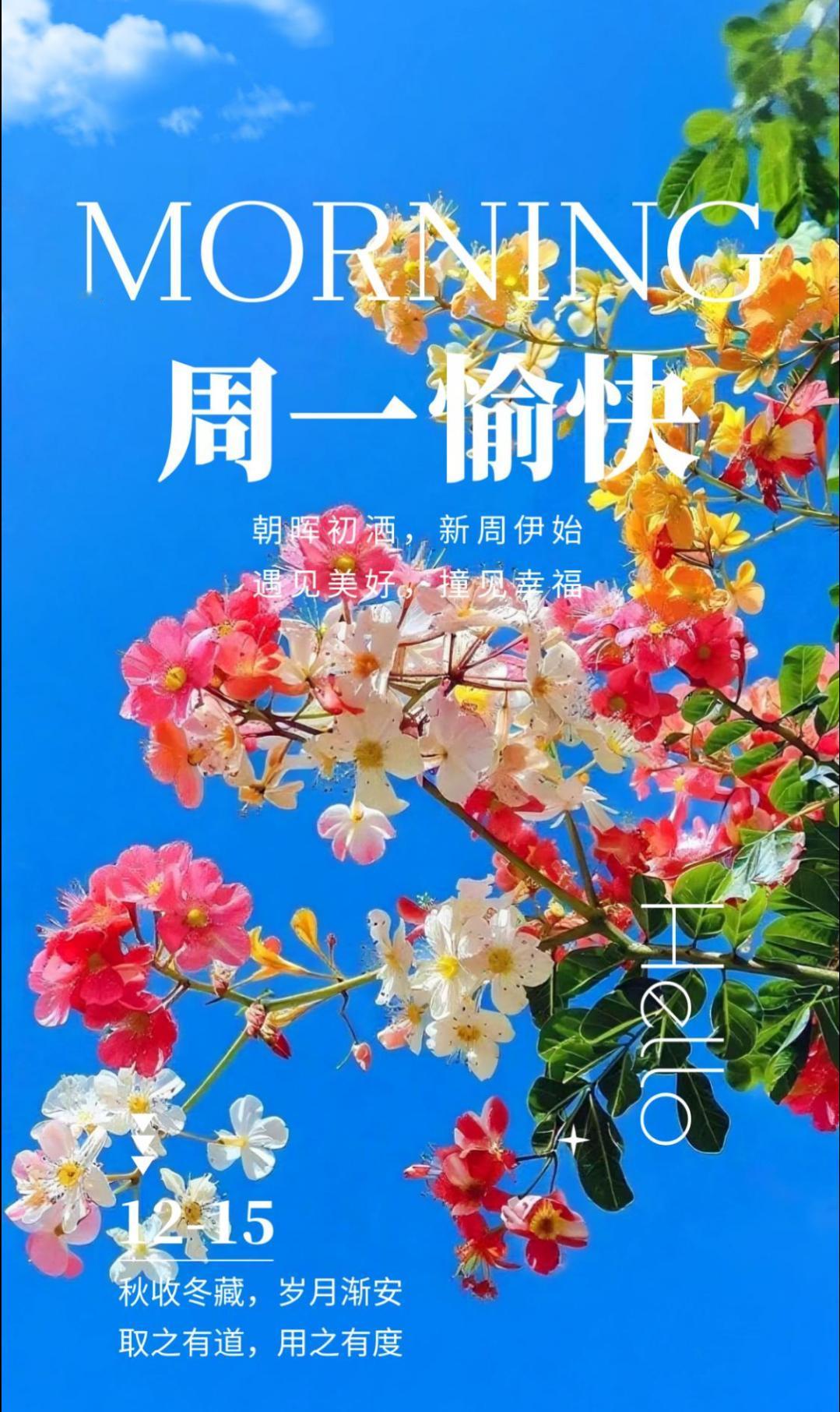 ☀️寒冬清晨，一句简单的问候，胜过千言万语。新周伊始，愿你步履轻盈，心怀期待，今