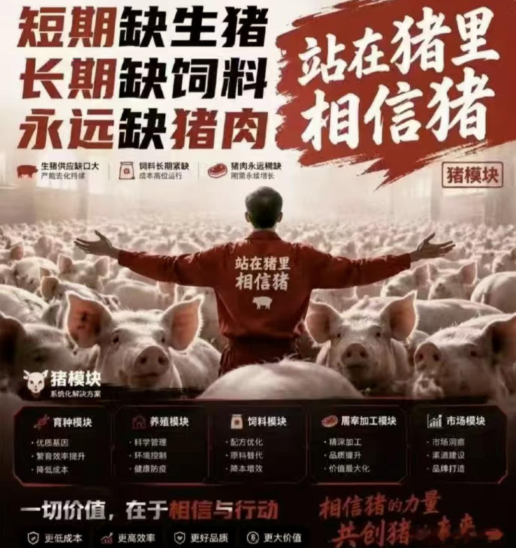 站在光里，站在猪里，站在屎里