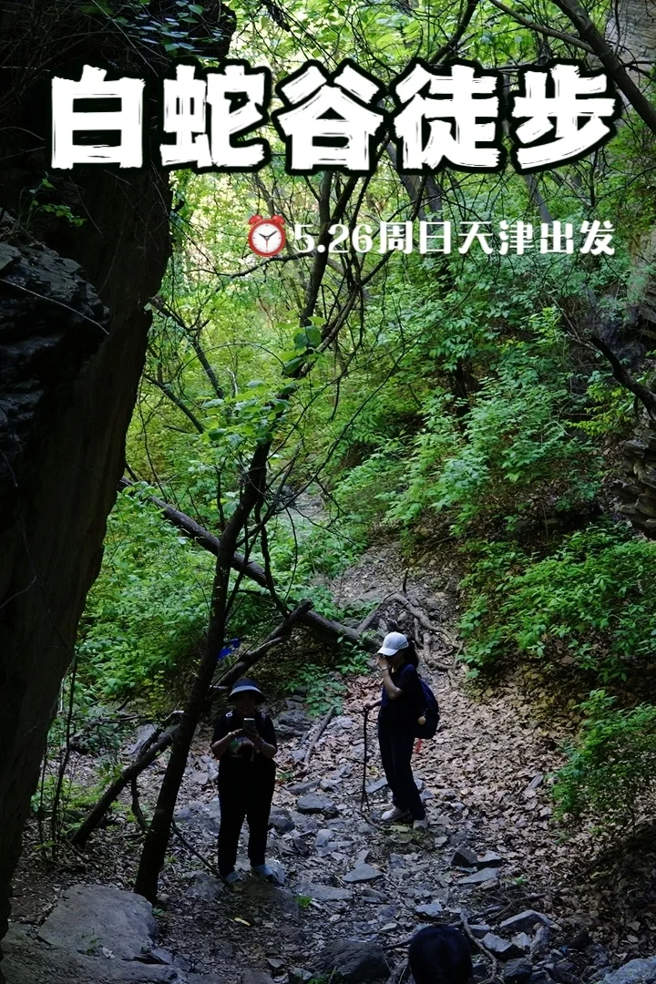 天津徒步|穿越山谷密林闯入绿野仙踪🥦