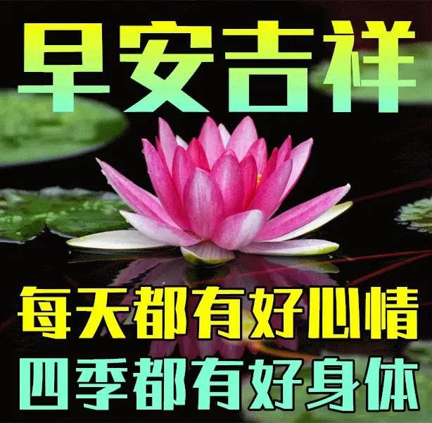 早安吉祥，忙而有度，闲而有趣，平淡琐碎的日子里，看这舞蹈表演力真的很棒[击掌][