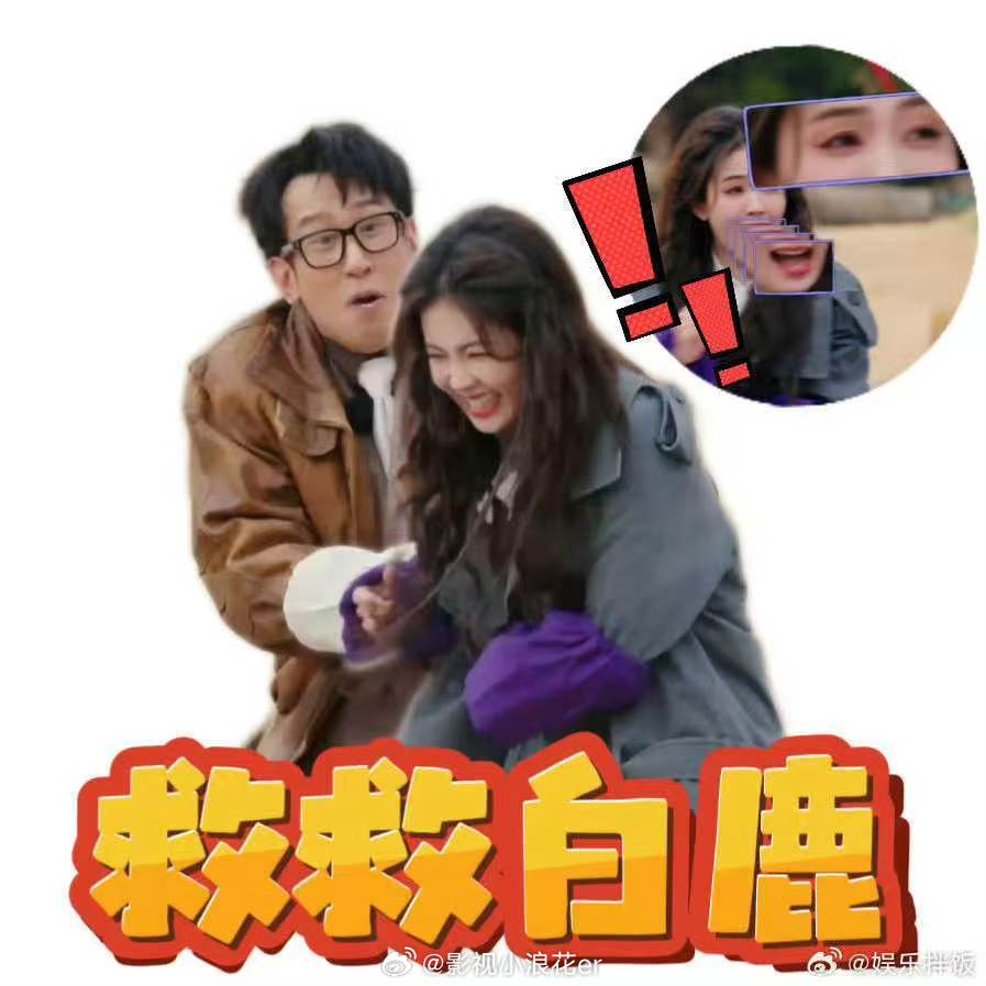 白鹿综艺战损白鹿急到把衣服都脱了 综艺名场面预警，白鹿和于洋极限拉扯，白鹿背于洋