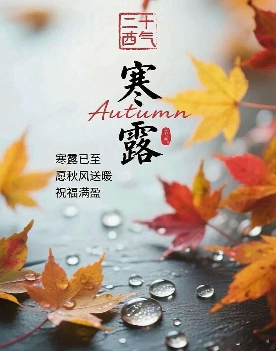 🍂²⁰²⁶/₁₀.₀₈ ᵕ̈ 🌞早安｜寒露
晨露凝寒，层林染秋，清风捎来淡淡