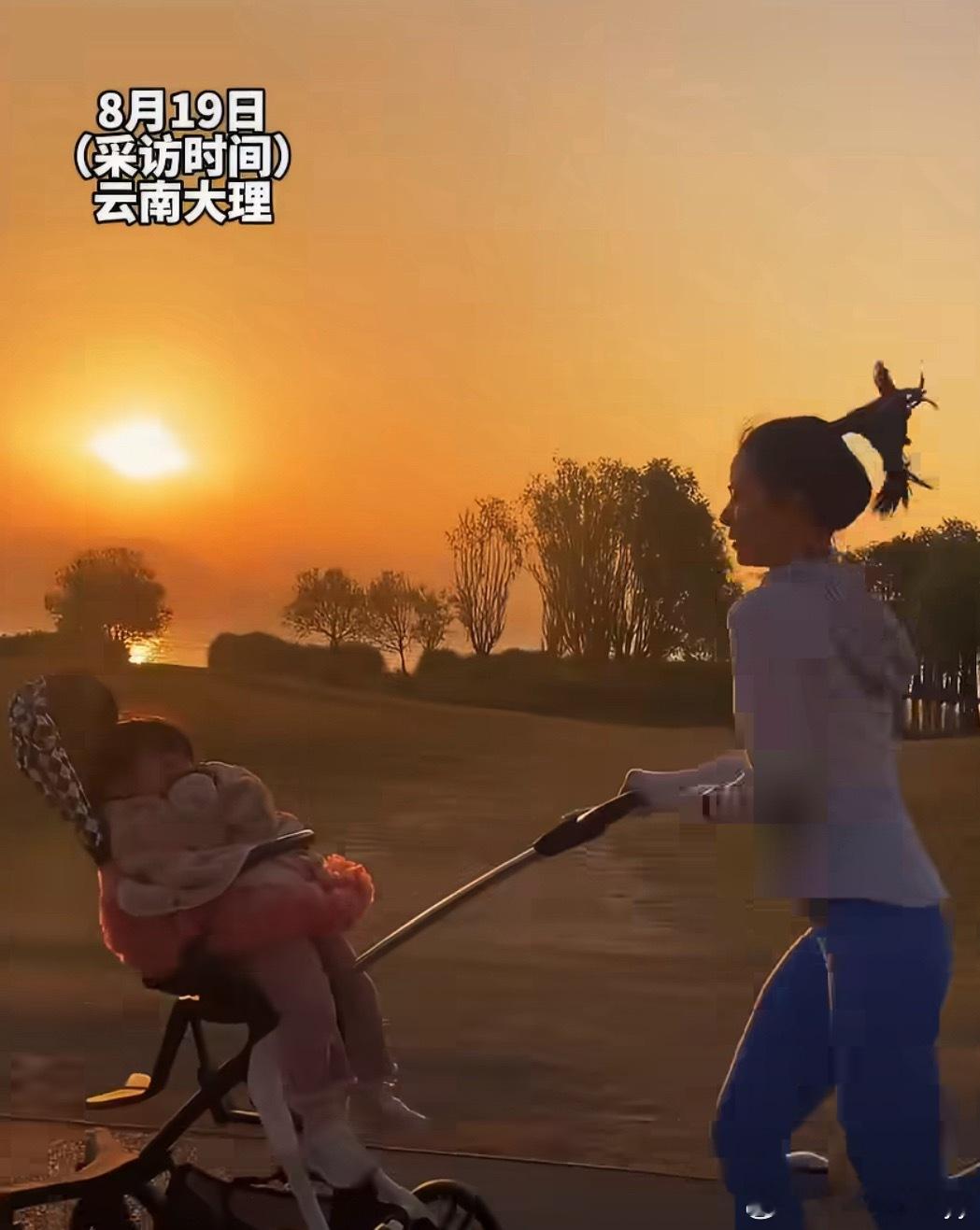 宝妈坚持每天推婴儿车晨跑两小时初期跑步需中途停下安抚女儿，如今孩子已完全适应，可